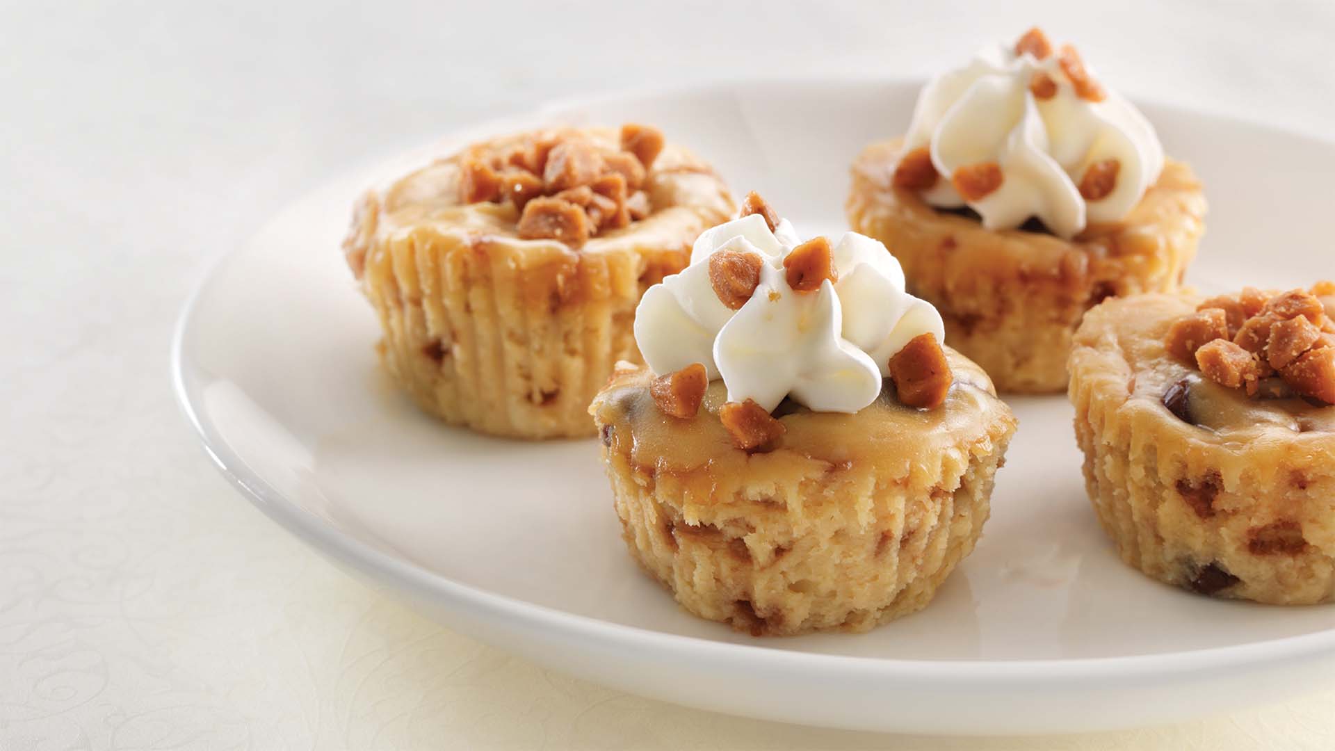 bouchees de gateau au fromage au chocolat et au caramel